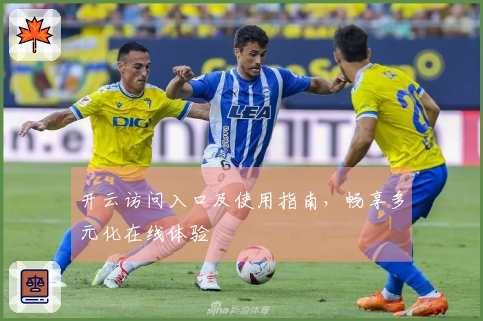 开云访问入口及使用指南,畅享多元化在线体验